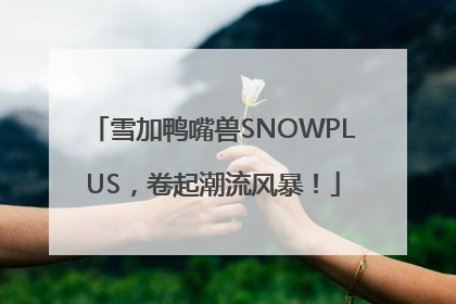 雪加鸭嘴兽SNOWPLUS，卷起潮流风暴！
