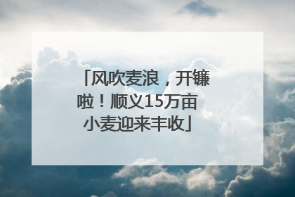 风吹麦浪，开镰啦！顺义15万亩小麦迎来丰收