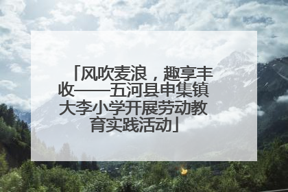 风吹麦浪，趣享丰收——五河县申集镇大李小学开展劳动教育实践活动