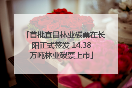 首批宜昌林业碳票在长阳正式签发 14.38万吨林业碳票上市