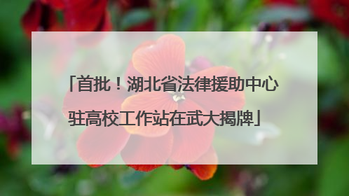 首批！湖北省法律援助中心驻高校工作站在武大揭牌