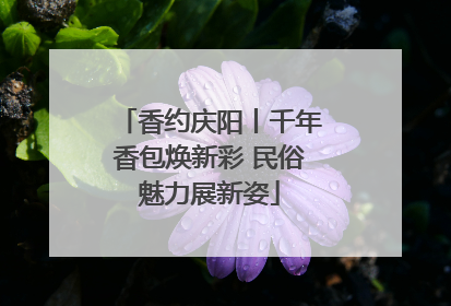 香约庆阳丨千年香包焕新彩 民俗魅力展新姿