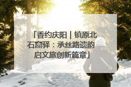 香约庆阳｜镇原北石窟驿：承丝路遗韵 启文旅创新篇章