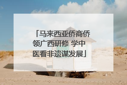 马来西亚侨商侨领广西研修 学中医看非遗谋发展