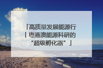 高质量发展能源行丨粤港澳能源科研的“超级孵化器”