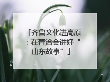 齐鲁文化进高原：在青洽会讲好“山东故事”
