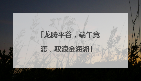 龙腾平谷，端午竞渡，驭浪金海湖