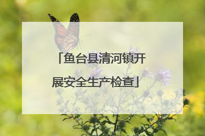 鱼台县清河镇开展安全生产检查