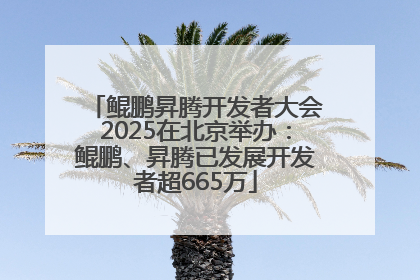 鲲鹏昇腾开发者大会2025在北京举办：鲲鹏、昇腾已发展开发者超665万