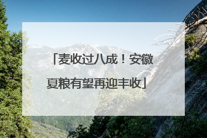 麦收过八成！安徽夏粮有望再迎丰收