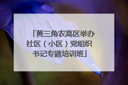 黄三角农高区举办社区（小区）党组织书记专题培训班