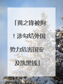黄之锋被拘！涉勾结外国势力危害国安及洗黑钱
