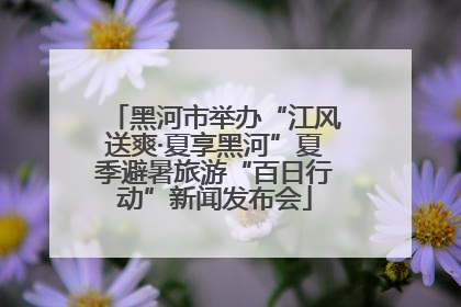 黑河市举办“江风送爽·夏享黑河”夏季避暑旅游“百日行动”新闻发布会