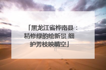黑龙江省桦南县：精修绿韵绘新景 细护芳枝映晴空