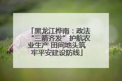 黑龙江桦南：政法“三箭齐发”护航农业生产 田间地头筑牢平安建设防线