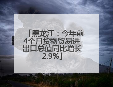 黑龙江：今年前4个月货物贸易进出口总值同比增长2.9%