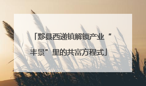黟县西递镇解锁产业“丰景”里的共富方程式