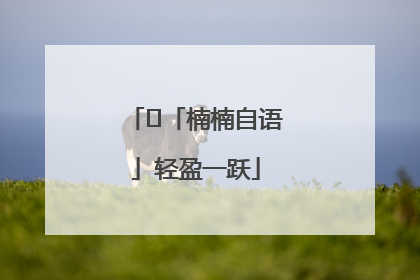 ﻿「楠楠自语」轻盈一跃