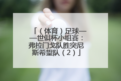 （体育）足球——世俱杯小组赛：弗拉门戈队胜突尼斯希望队（2）