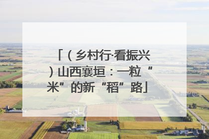 （乡村行·看振兴）山西襄垣：一粒“米”的新“稻”路