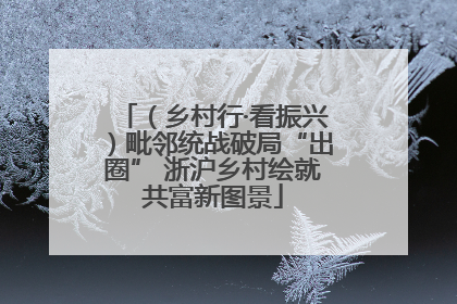 （乡村行·看振兴）毗邻统战破局“出圈” 浙沪乡村绘就共富新图景