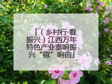 （乡村行·看振兴）江西万年特色产业奏响振兴“椒”响曲