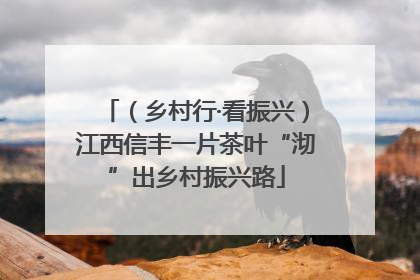 （乡村行·看振兴）江西信丰一片茶叶“沏”出乡村振兴路