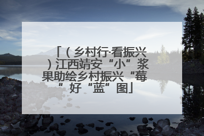 （乡村行·看振兴）江西靖安“小”浆果助绘乡村振兴“莓”好“蓝”图