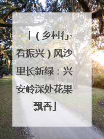 （乡村行·看振兴）风沙里长新绿：兴安岭深处花果飘香