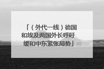 （外代一线）德国和埃及两国外长呼吁缓和中东紧张局势