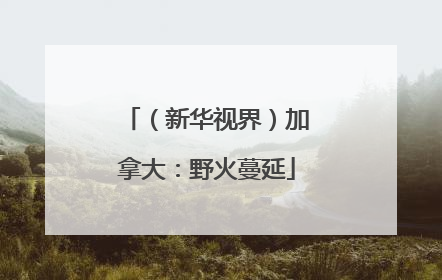 （新华视界）加拿大：野火蔓延