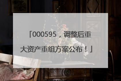 000595，调整后重大资产重组方案公布！