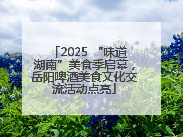 2025 “味道湖南”美食季启幕，岳阳啤酒美食文化交流活动点亮