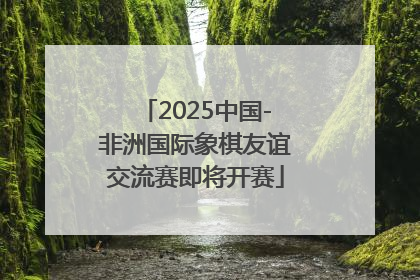 2025中国-非洲国际象棋友谊交流赛即将开赛
