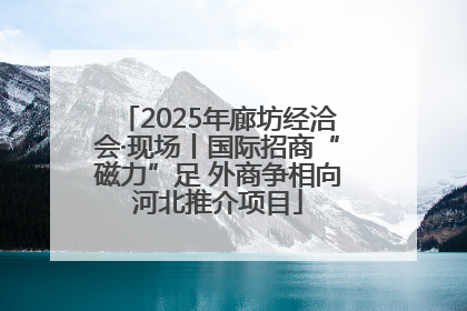2025年廊坊经洽会·现场丨国际招商“磁力”足 外商争相向河北推介项目