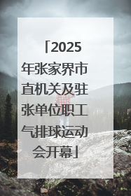 2025年张家界市直机关及驻张单位职工气排球运动会开幕