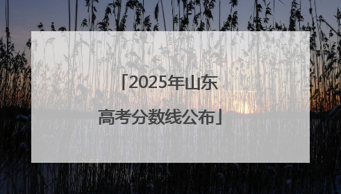 2025年山东高考分数线公布