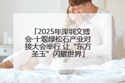 2025年深圳文博会·十堰绿松石产业对接大会举行 让“东方圣玉”闪耀世界