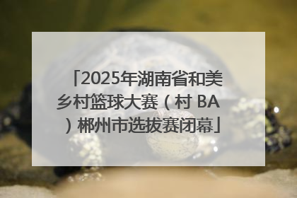 2025年湖南省和美乡村篮球大赛（村 BA）郴州市选拔赛闭幕