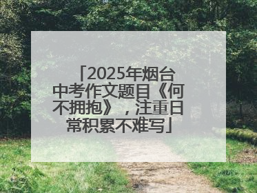 2025年烟台中考作文题目《何不拥抱》，注重日常积累不难写