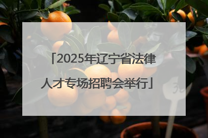 2025年辽宁省法律人才专场招聘会举行