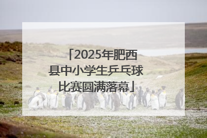 2025年肥西县中小学生乒乓球比赛圆满落幕