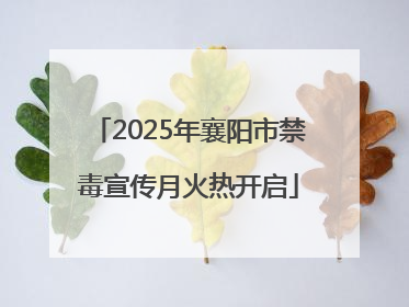 2025年襄阳市禁毒宣传月火热开启