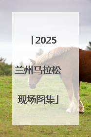 2025兰州马拉松现场图集