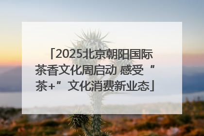 2025北京朝阳国际茶香文化周启动 感受“茶+”文化消费新业态