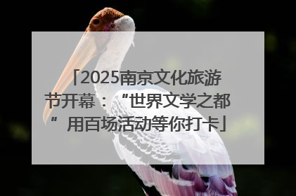 2025南京文化旅游节开幕：“世界文学之都”用百场活动等你打卡