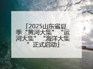2025山东省夏季“黄河大集”“运河大集”“海洋大集”正式启动
