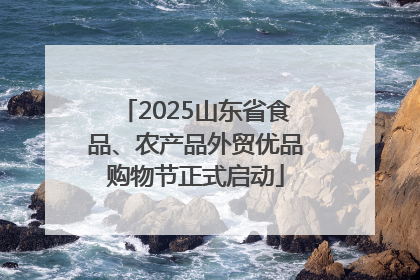 2025山东省食品、农产品外贸优品购物节正式启动