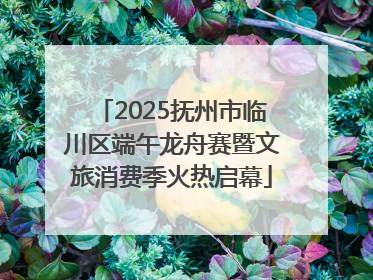 2025抚州市临川区端午龙舟赛暨文旅消费季火热启幕