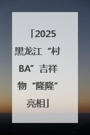2025黑龙江“村BA”吉祥物“隆隆”亮相